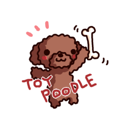 Toy Poodle sticker's