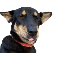 ㄒㄏㄩㄍ-ㄆㄚˉㄊㄨˋ