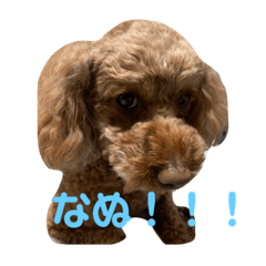 asuka_20200118152638