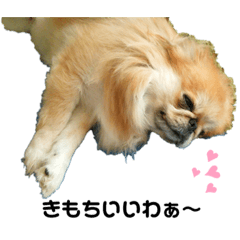 takashi_20200118150455