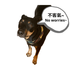 Lobby and his partners part II