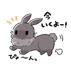 kuro rabbit stamp