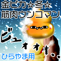 Hirayama Gold muscle unko man winter