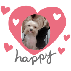 偶是錢錢，錢錢是偶