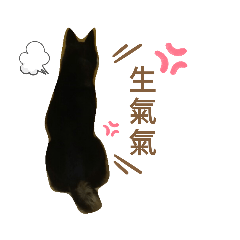 洛基doggy
