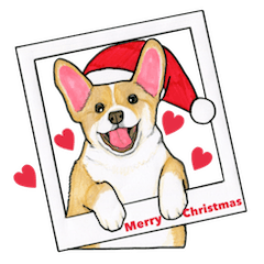 Merry Christmas Corgi sticker