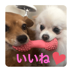 arisa_20200118204847