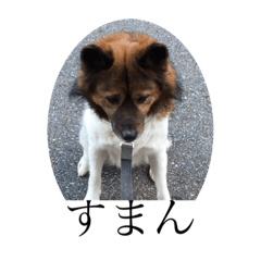 HANA_20200118222724