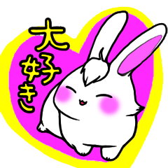 Bangs Rabbit 1