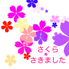 Spring Sakura Stickers