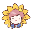 Little Sunflower Prince