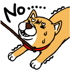 Japanese dog Mofro 1000%
