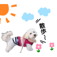 nagisa_20200119010608