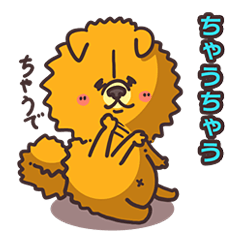 Kansai dialect dog