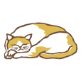 Cat sleeps