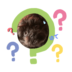 michiko_20200119134325