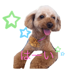 saya_20200119155727