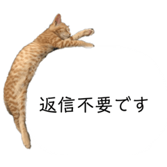 chie_20200119200141