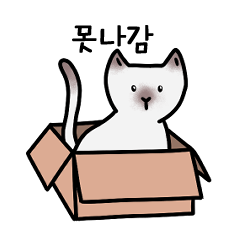 A cat loves box(Korean ver.)