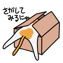 A cat loves box(Japanese ver.)