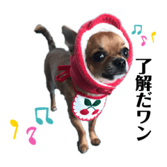 yun_20200119123340