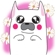 Fujico The French Bulldog
