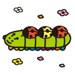 Caterpillar of adult