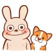 PongPong & Lemon the corgi
