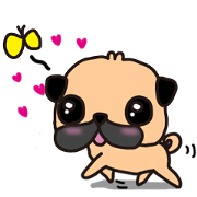 Butty of a pug