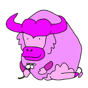 Pink Buffalo