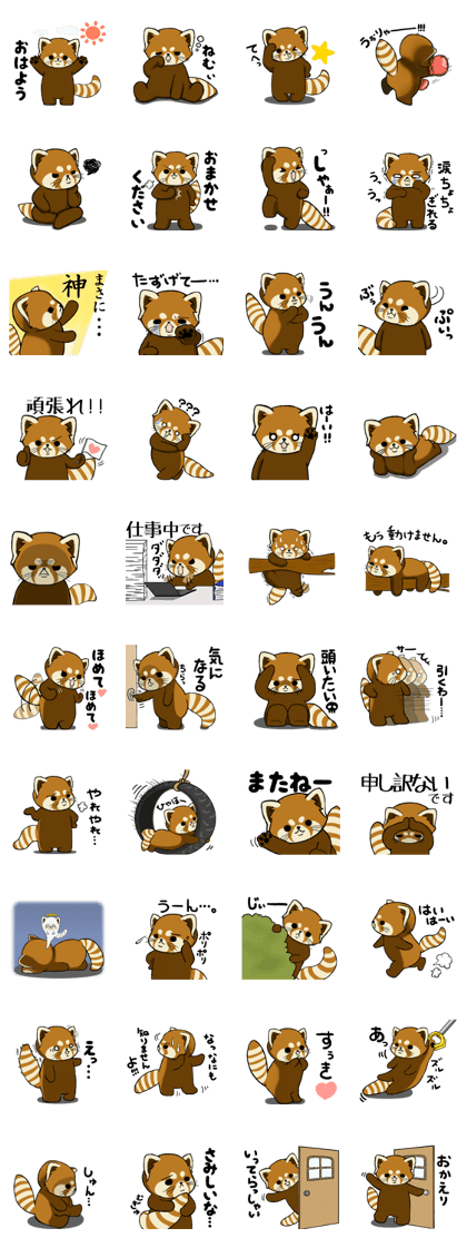 ChaTaro of red pandas