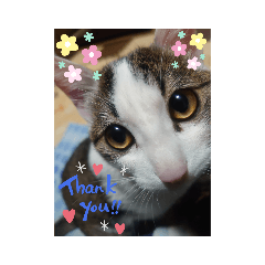 aoi_20200120023729