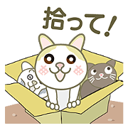 please love cats