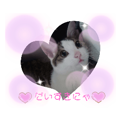 aoi_20200120023340