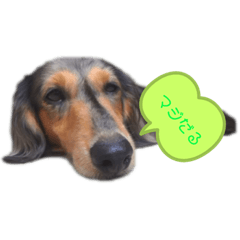 asuka_20200120002420