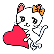 lovely cat cute cat