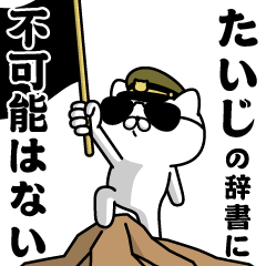 "TAIJI"name/Military cat