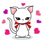 Sweet white cat