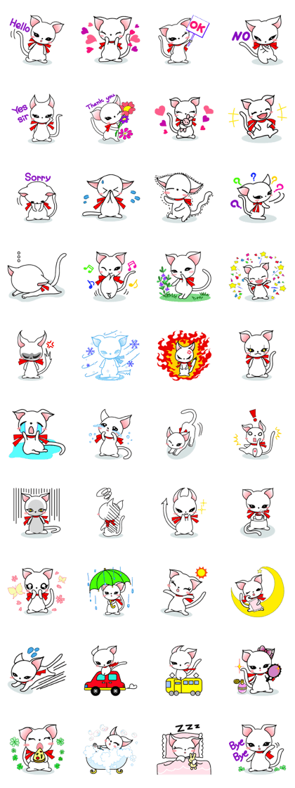 Sweet white cat