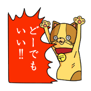 cats do not care