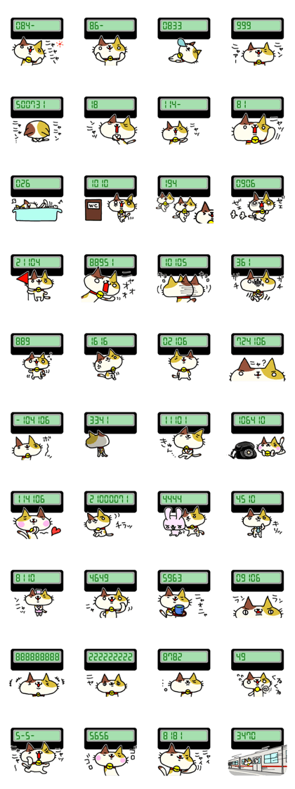Cats use numbers