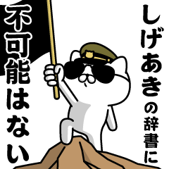 "SHIGEAKI"name/Military cat