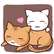 Tabby & white cat