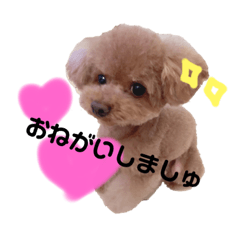 yuri_20200120041058