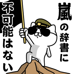 "ARASHI"name/Military cat