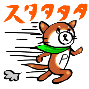 Shibainu Pokochi