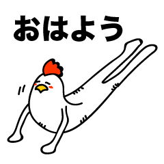 ROOSTER-san 3