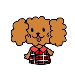 My Teddy of a toy poodle