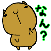 Nagasaki dialect of the capybara