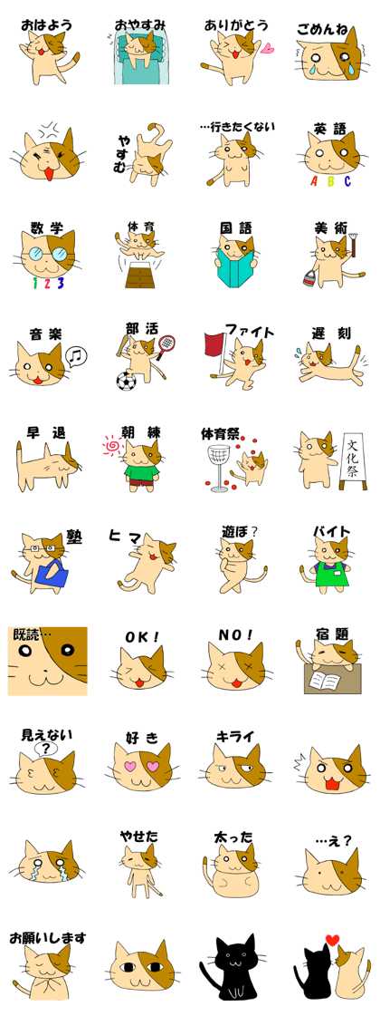 cat school